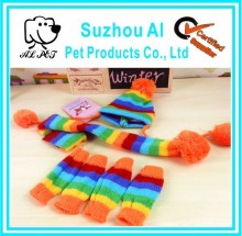 Soft Warm Spring Outside Colorful Dog Hat