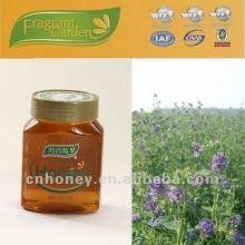 Pure natural alfalfa honey para la venta