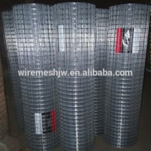 Bright Surface Galvanized Welded Wire Mesh Netting/Strong Mesh Netting