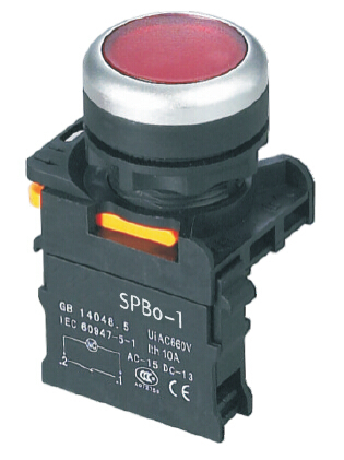 SAIP/SAIPWELL Push Button Switch Waterproof 120v