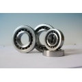 Ball screw support bearing