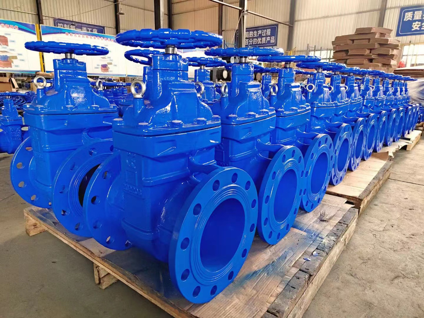 Rsf Metal Seat Iron Gate Valve 2 Jpg