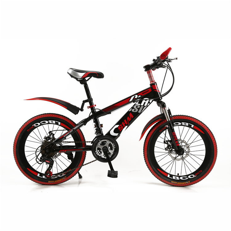 2019 New style Mountain bike/21 speed newest design Mountain bicycle/full suspension MTB 29 with low price from China