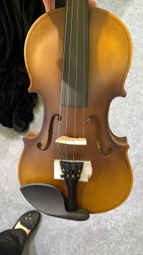 cheap plywood violin DV011L 4/4 size student violin