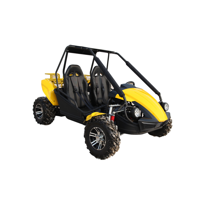 4 عجلات 150cc / 250cc الكثيب Buggy للبيع