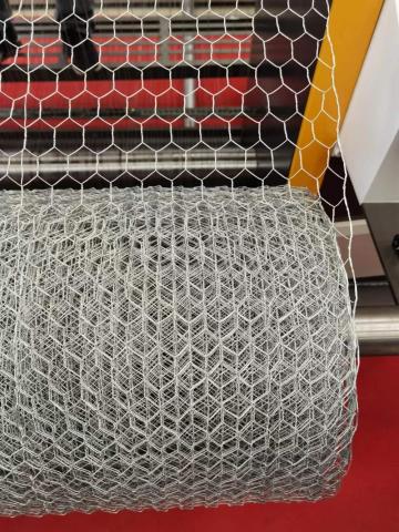 Hexagonal wire Mesh netting