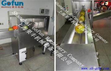 Coconut Milk Extractor Machine