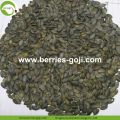 Raw GWS AAA Grade Pumpkin Seed Kernels