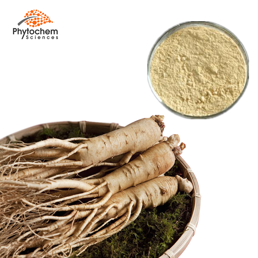 top grade Ginsenoside powder panax wild ginseng root