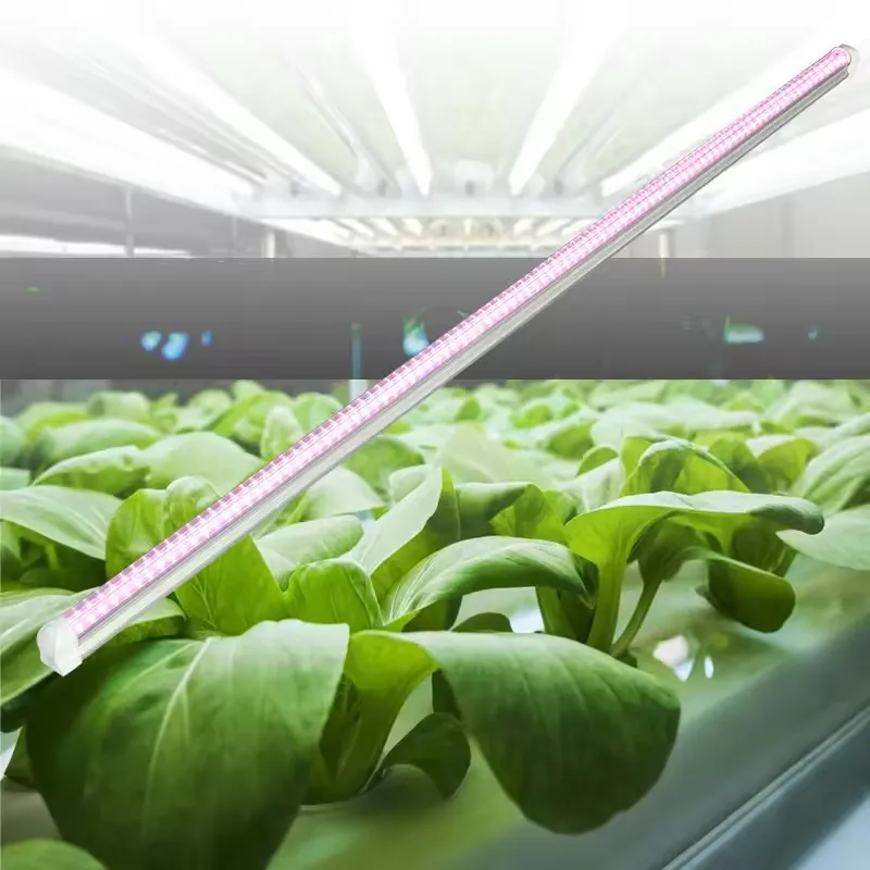 Cultivate Seedlings, Supplement Light for Growth, Full Spectrum T5 Plant Light