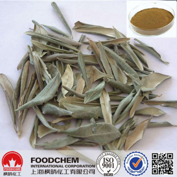 100% Natural Olive Leaf Plant Extract