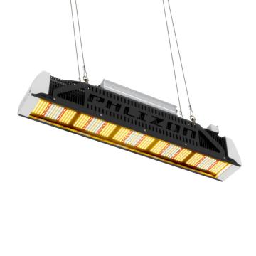 Promoción de EE. UU. Phlizon SMD LED Planta Crece la luz