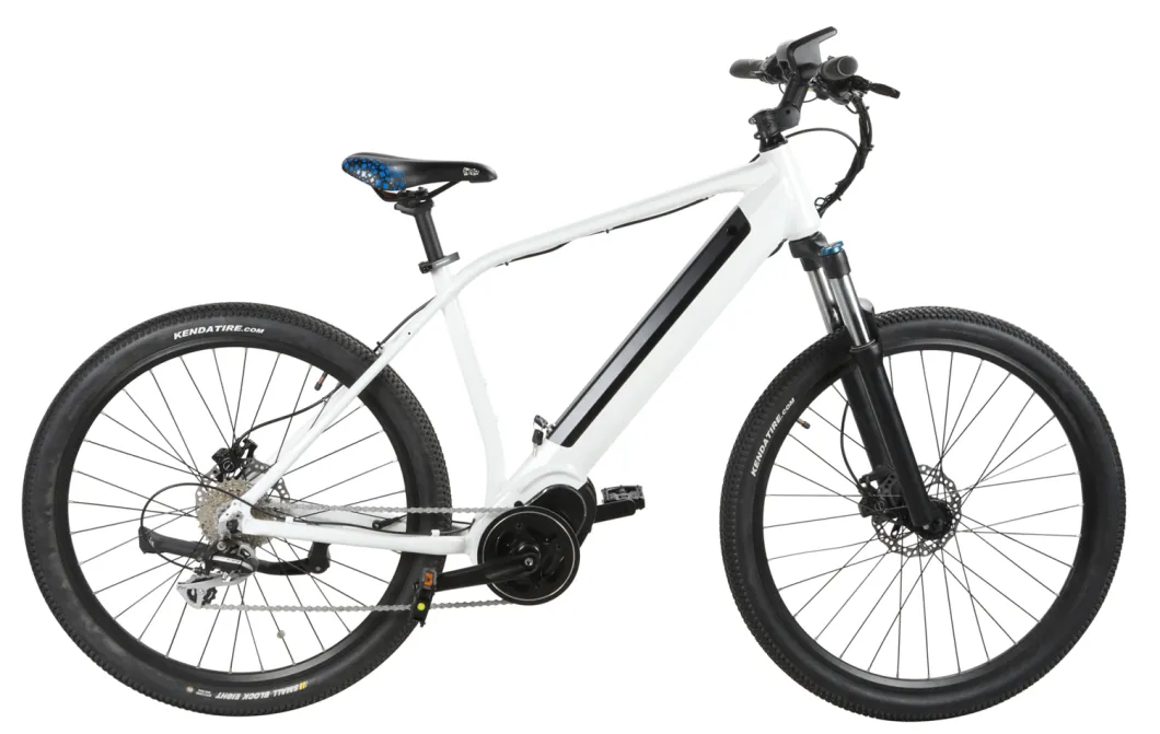 26inch E City Bike 36V/48V Electric Bicycles 1 Piece Sales