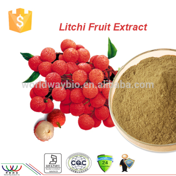 Free sample ! China solvent Brown yellow fine powder wholesale 40% UV polyphenols lychee powder extract , lychee extract