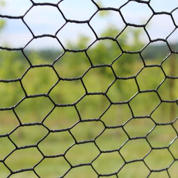 PVC Coated Chicken Wire Poultry Netting