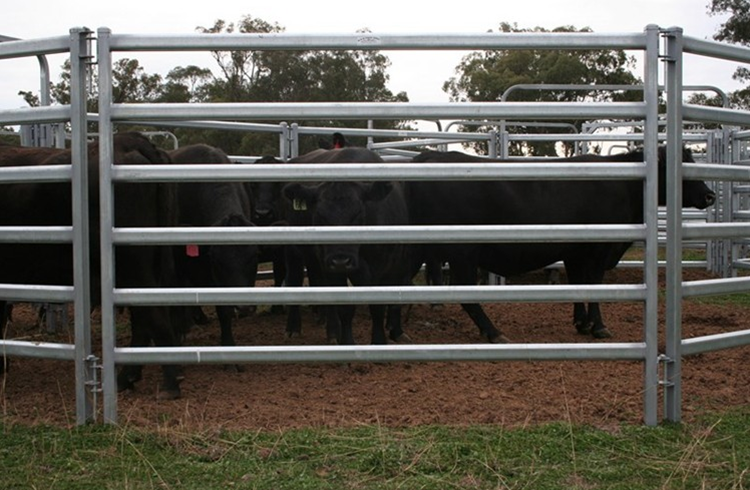 Cheap Sale Bulk Cattle Fence Panel Livestock Fence