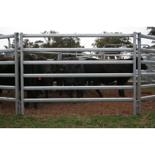 galvanized pipe horse fence panel cattle fence