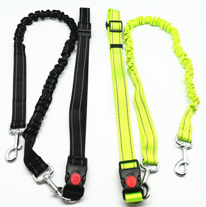 Bungee Dog Lead