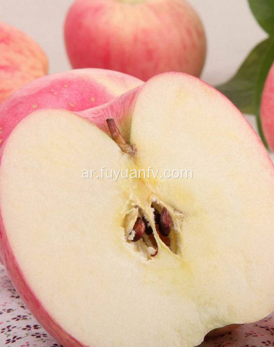عالية الجودة الطازجة محصول جديد فوجي التفاح