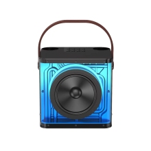 Premium Portable Handheld Bluetooth Speaker with Karaoke Microphones