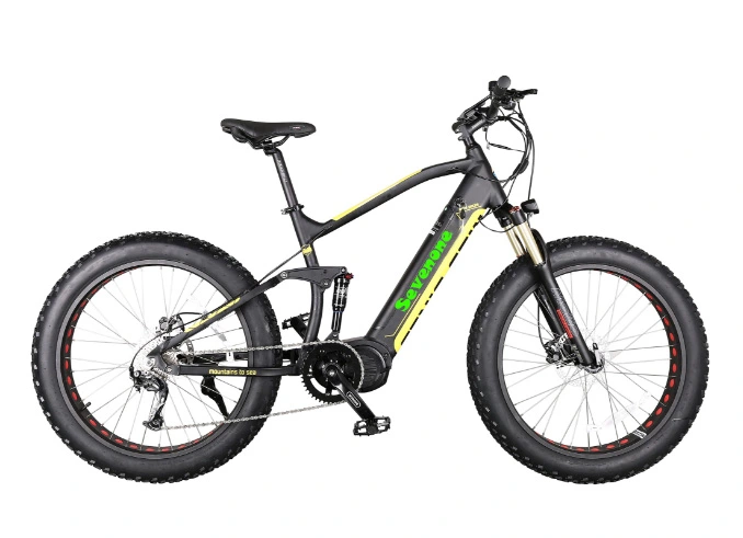 High Quality Fat Tire Full Suspension Snow Electric Bike with 350W Motor