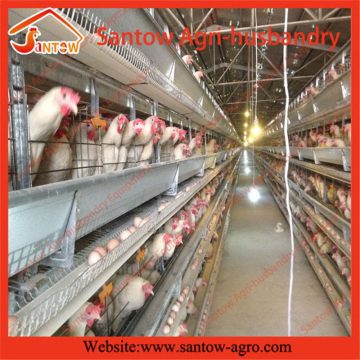 H type 5 tier chicken cage poultry cages broiler battery cage for poultry farm