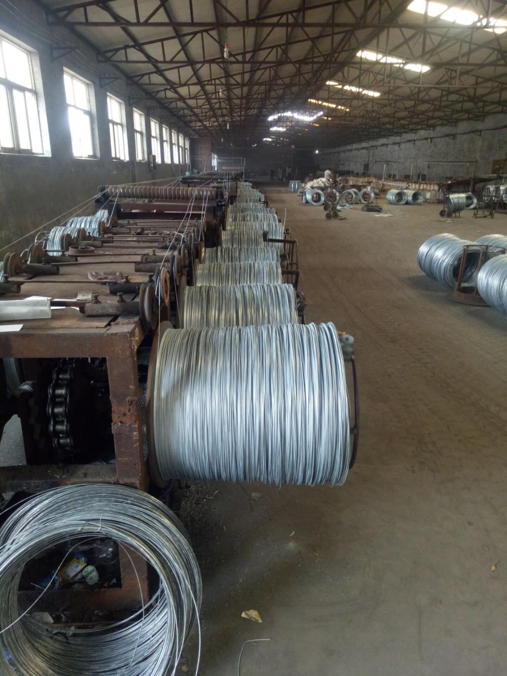 Electro Galvanized Binding Wire