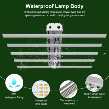 USA Stock LED Grow Lights for Fast Delivery