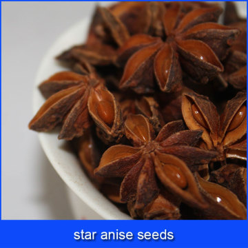 star anise seeds