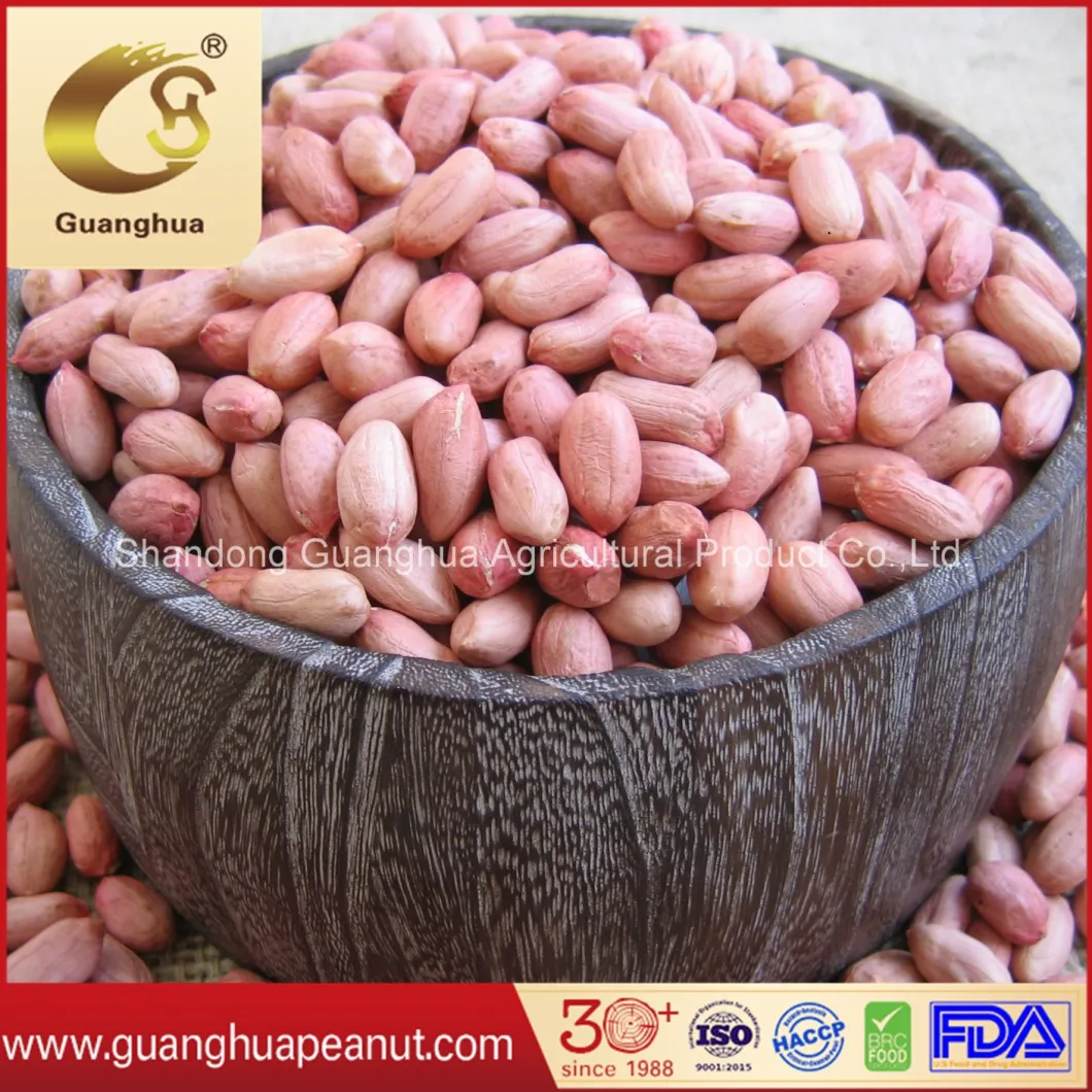 Wholesale Round Shelled Peanut Kernels