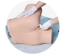 Enema Administration Training Model