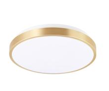 LED Indoor Led Ceiling Light