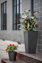 Tall and square flowerpot