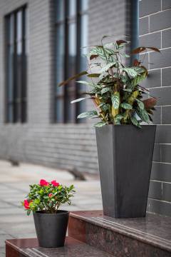 Tall and square flowerpot