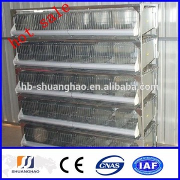 2014 new!!! cheap quail cage/Trapezoid Quail Cage (manufactory)