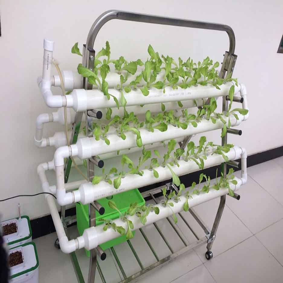 Complete Vertical Indoor Hydroponic Rockwool Cubes