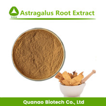 High Quality Astragalus Root Extract Powder 10:1