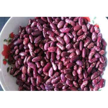 Good Purple Kidney Beans