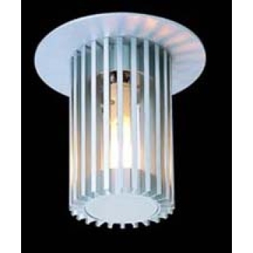 Indoor Anodised Aluminium Ceiling Lamp