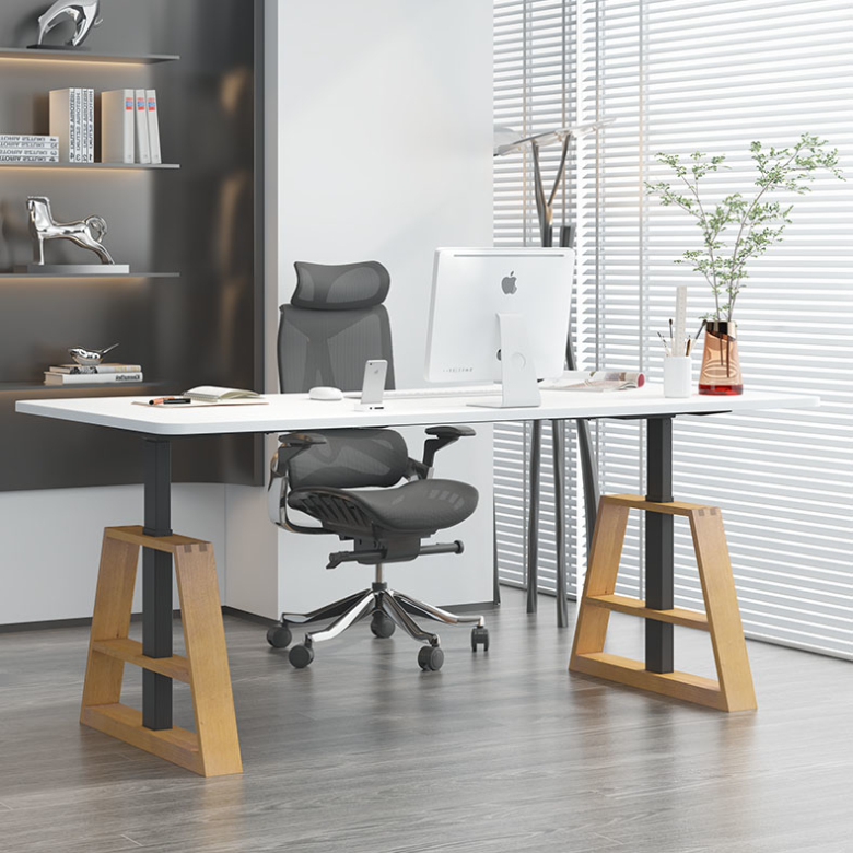 Office boss modern standing desk