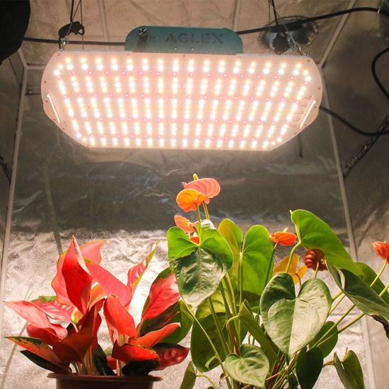 180w LED luz para plantas crescerem dentro de casa