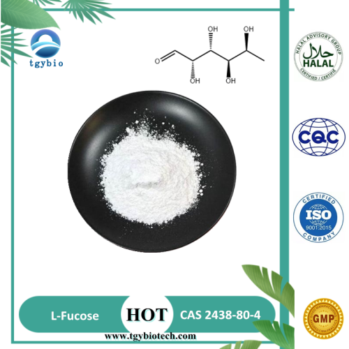 Cas de poudre L-fucose en gros de haute qualité 2438-80-4