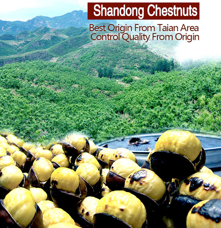 chestnut for sale in china shandong