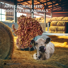 Apple Pomace Residue For Animal Feed