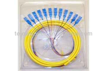 SC Fiber Optic 12 core fiber optic pigtail