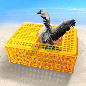 Factory Chicken Transport Crate - Poultry Carrier for Live Chicken Transport