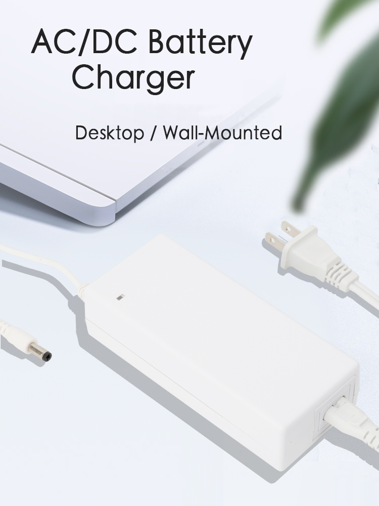 25.2v 3a battery charger