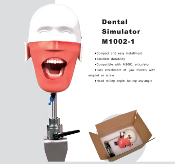 Dental Simulator Practice System for Preclinical Student Training