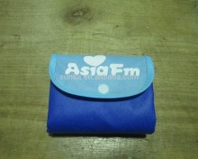 Foldable shopping bag/Nonwoven Folding Bag/Polyester Folding Bag