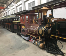 professional made The track Park trains